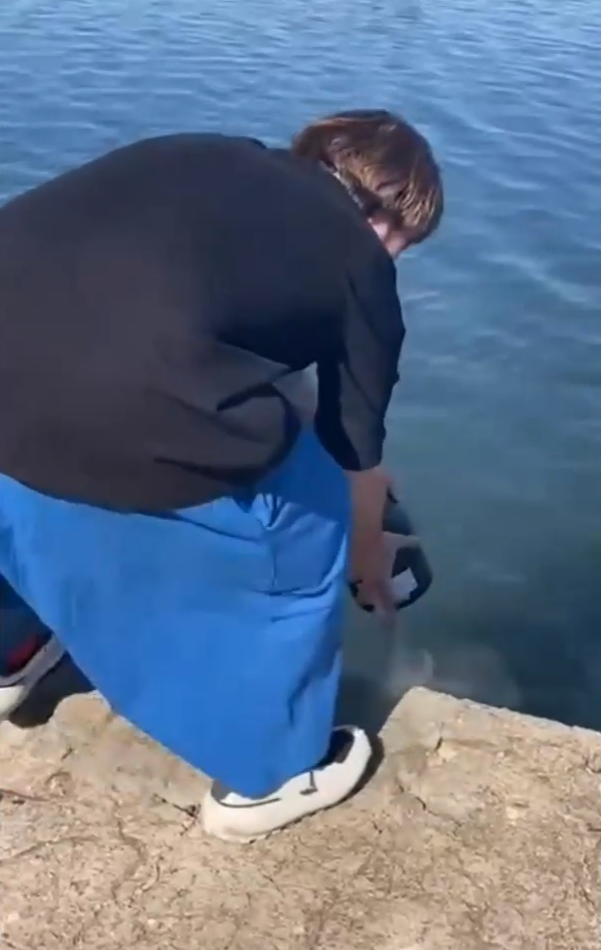 alex dobrescu cenușă in parc