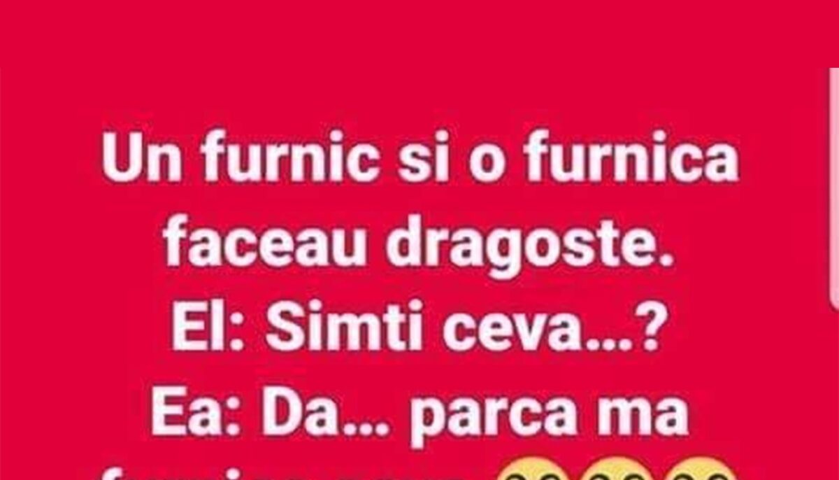 Imagine Stire BANCUL ZILEI | Un furnic și o furnică făceau dragoste | 2review.ro