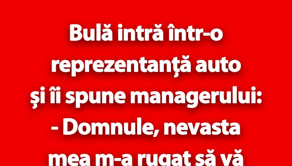 Imagine Stire BANC | Bulă intră într-o reprezentanță auto | 2review.ro