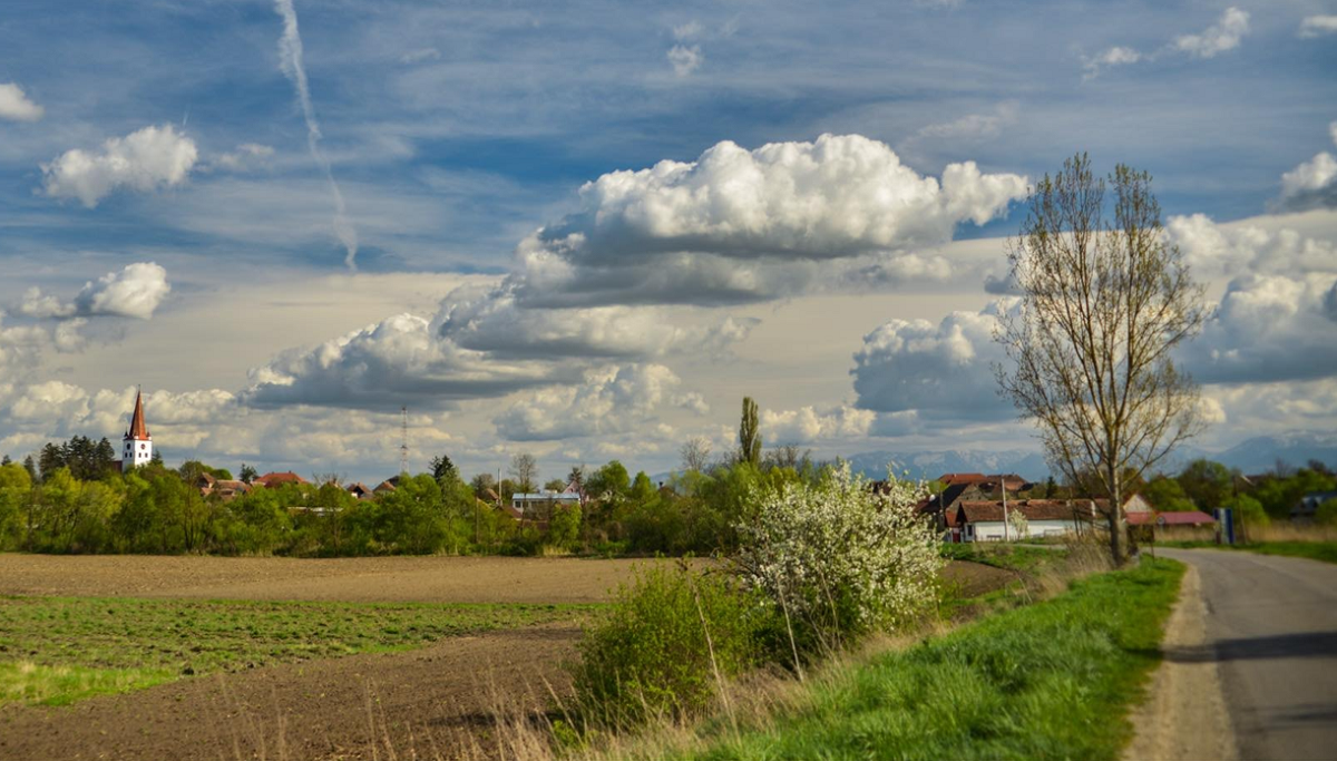 Casă de vânzare cu 2.000 de lei într-o comună din România? Anunțul surprinzător făcut de primărie