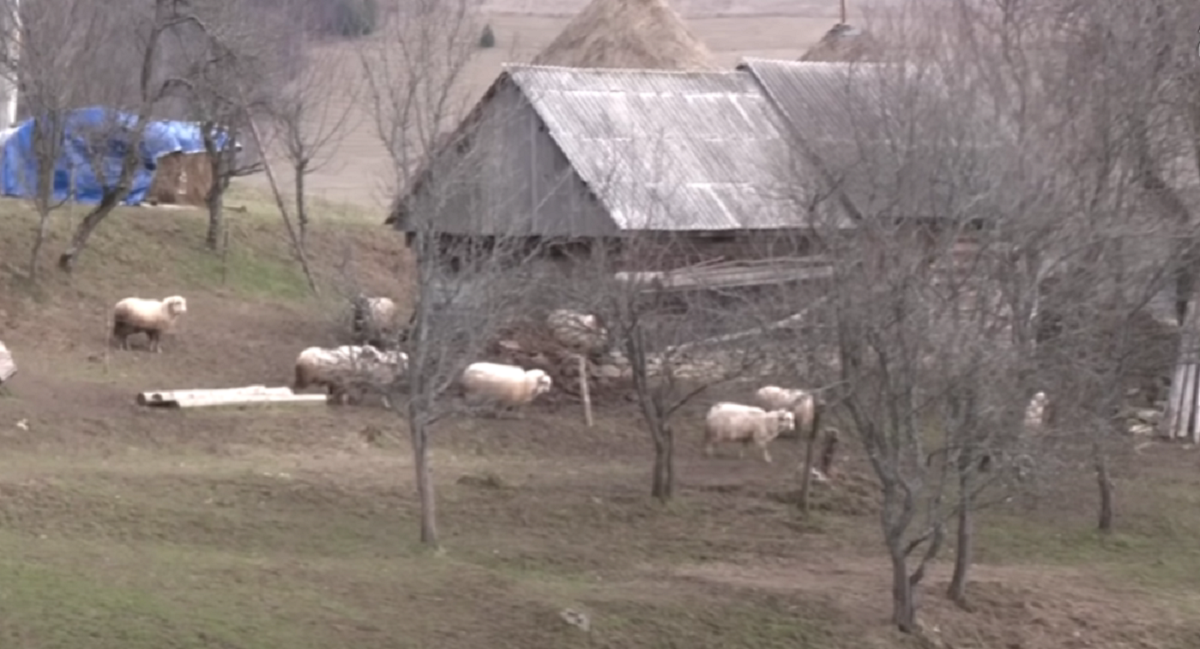 Localitatea din România care este în pragul dispariției! Doar 7 oameni mai locuiesc aici: ”Ne mănâncă sălbăticiunile”