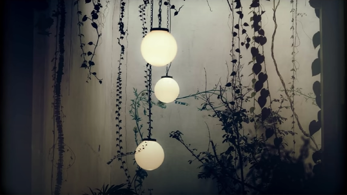 Imagine Stire Iluzie optică virală | Găsește broscuța din imagine. Geniile o descoperă în 10 secunde | 2review.ro