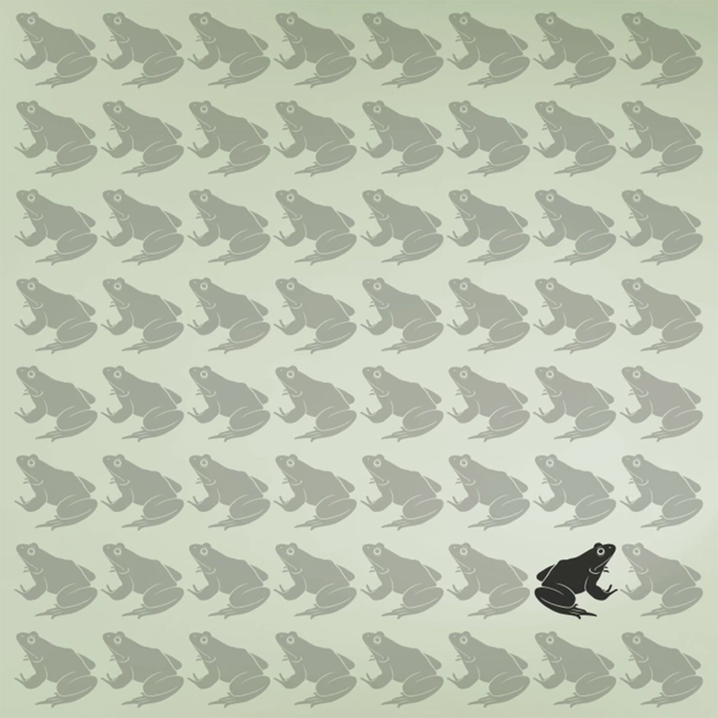 Aceasta este broasca diferită/foto: Facebook 