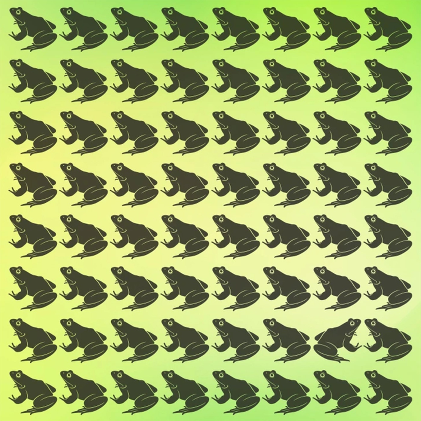 Care este broasca diferită/foto: Facebook