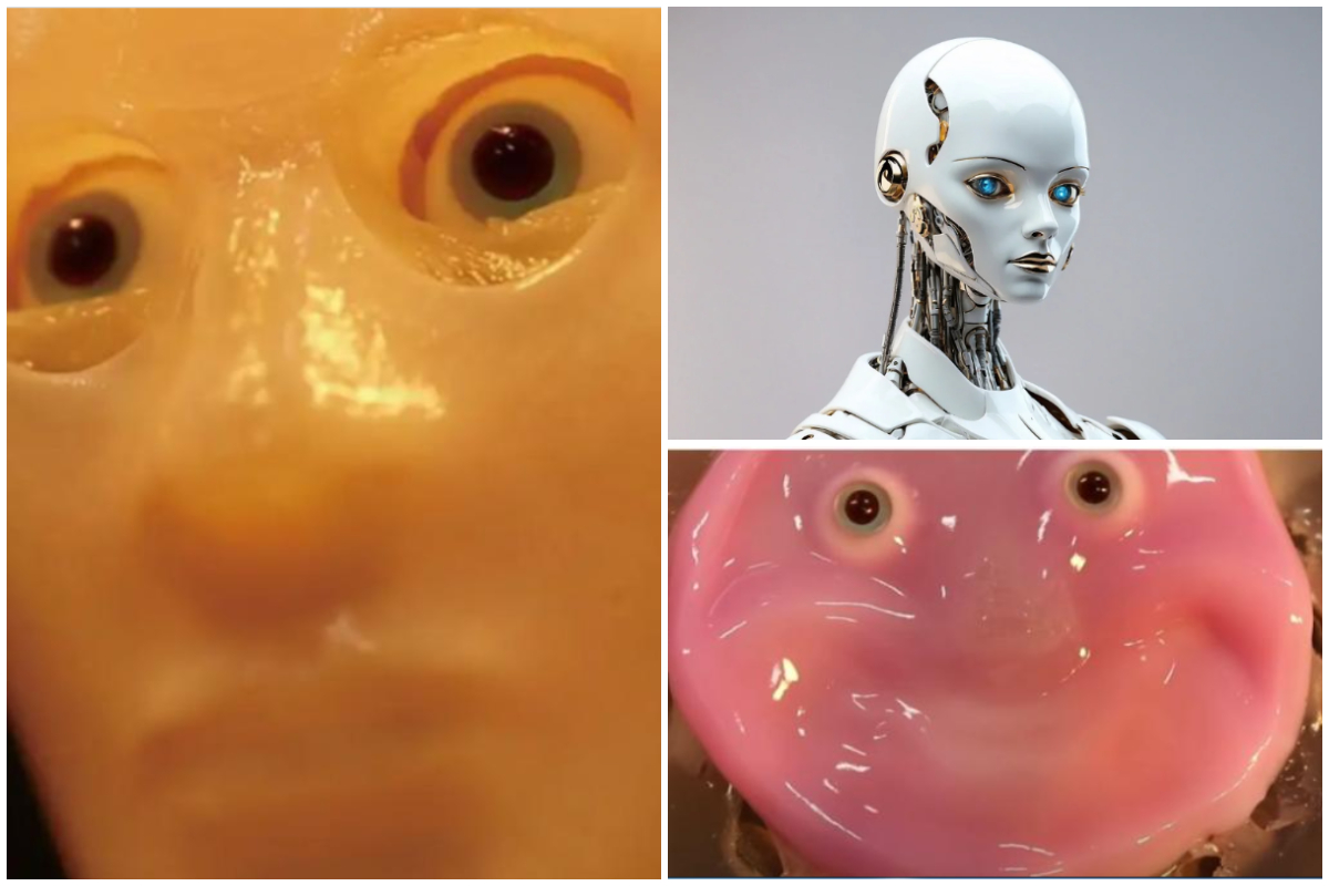 Cum arată „fața viitorului”, robotul care a fost creat cu piele umană reală! Imaginile au devenit virale