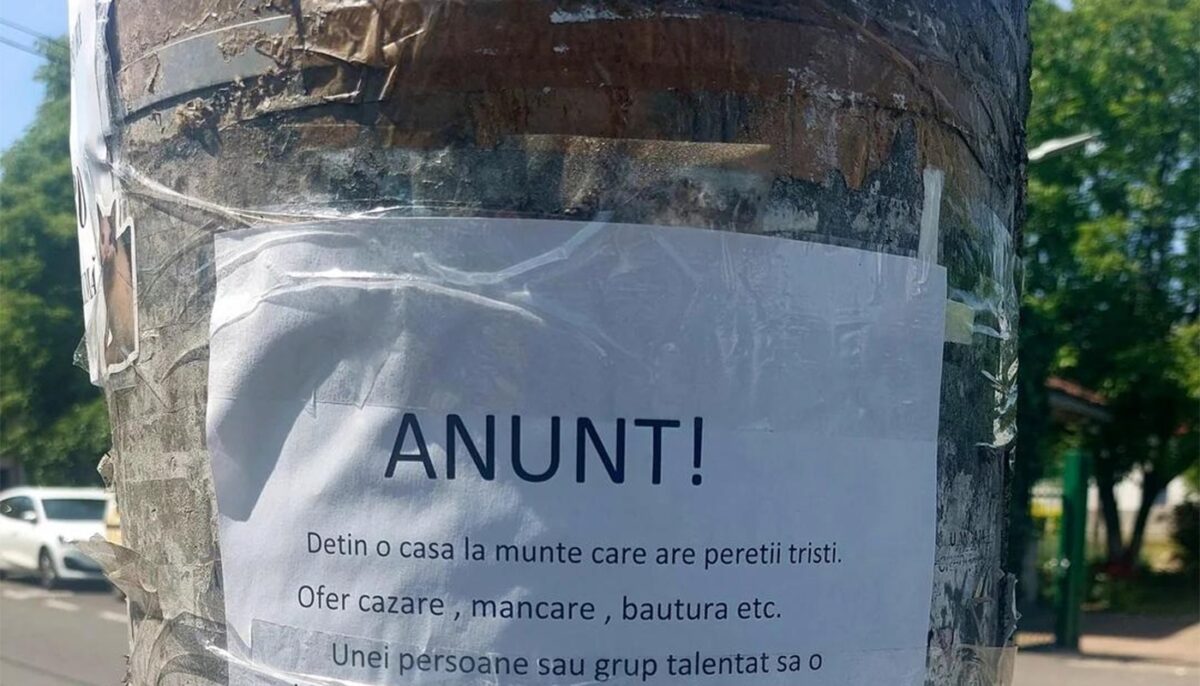 Anunț viral | Un clujean oferă cazare gratuită și mâncare, într-o vilă la munte. Are o singură condiție!
