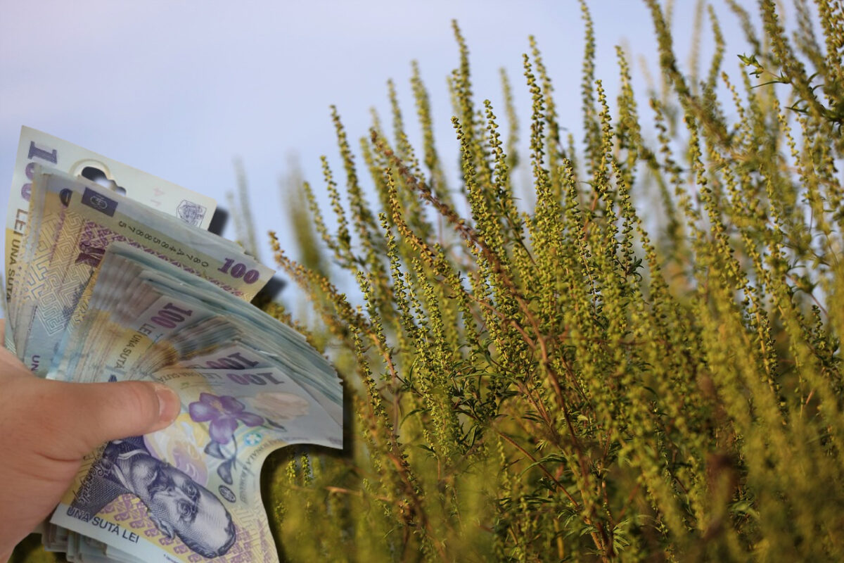 Imagine Stire Amendă de 20.000 de lei pentru proprietarii de terenuri care nu fac asta, în 2026 | 2review.ro