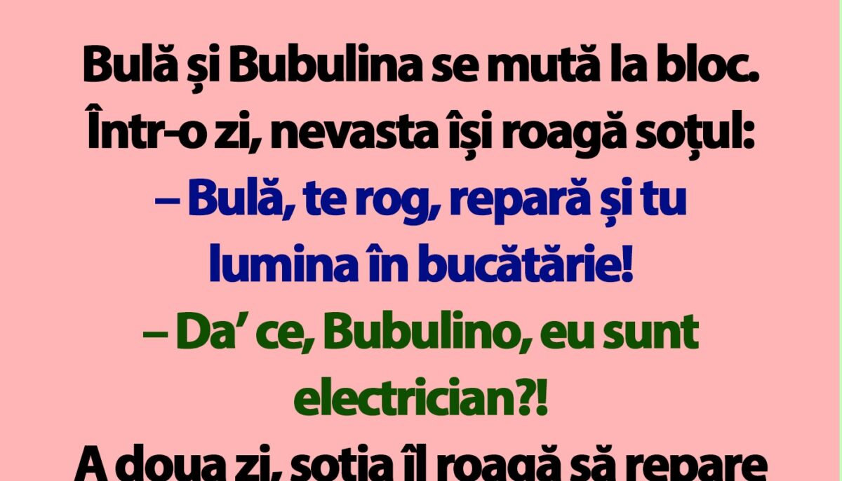 Imagine Stire BANC | Bulă și Bubulina se mută la bloc | 2review.ro