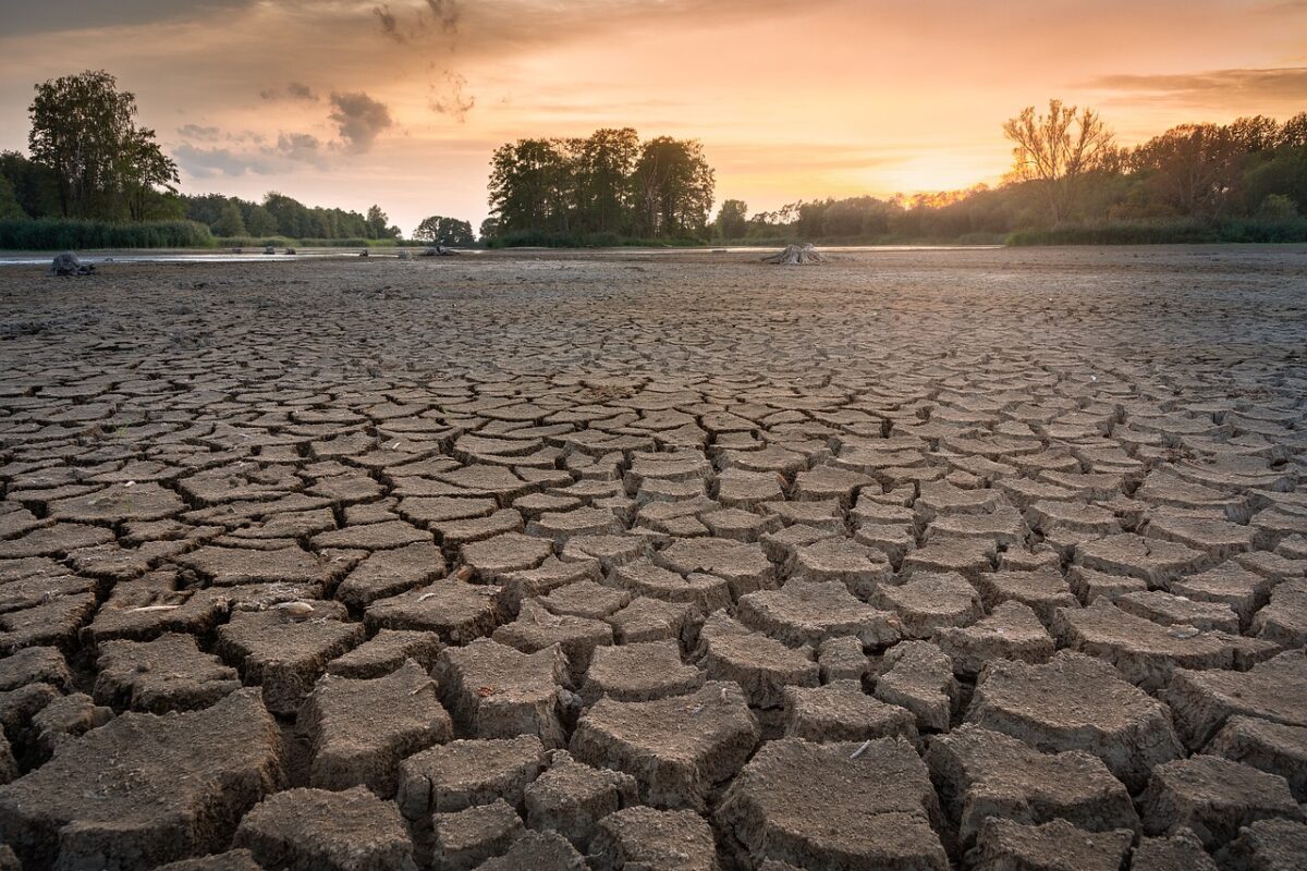 Curentul El Nino este istorie! Ce ne așteaptă după ce întreaga planetă a fost lovită de secetă