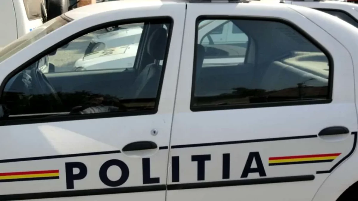 Vecinii fetiței de 10 ani din Timișoara, înjunghiată de mama ei, au mărturisit ce au auzit în timpul atacului