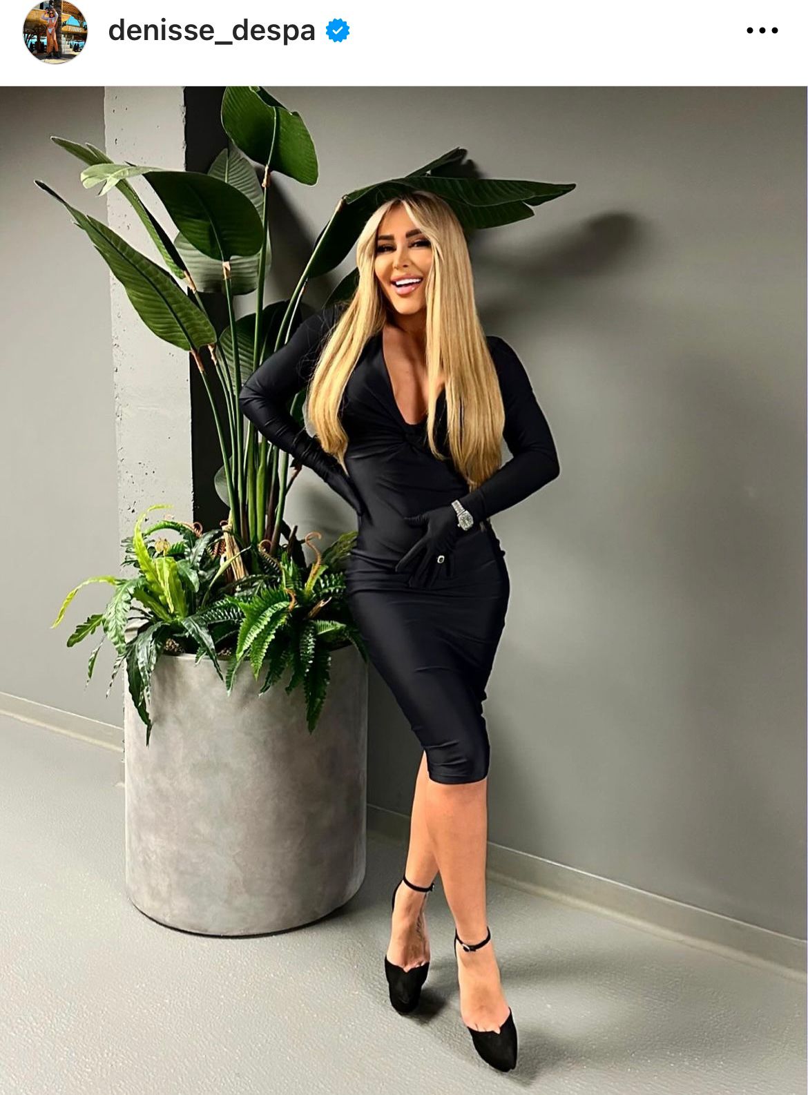 Dansatoarea a fost citată într-un proces în care este acuzat concubinul nepoatei Elenei Merișoreanu