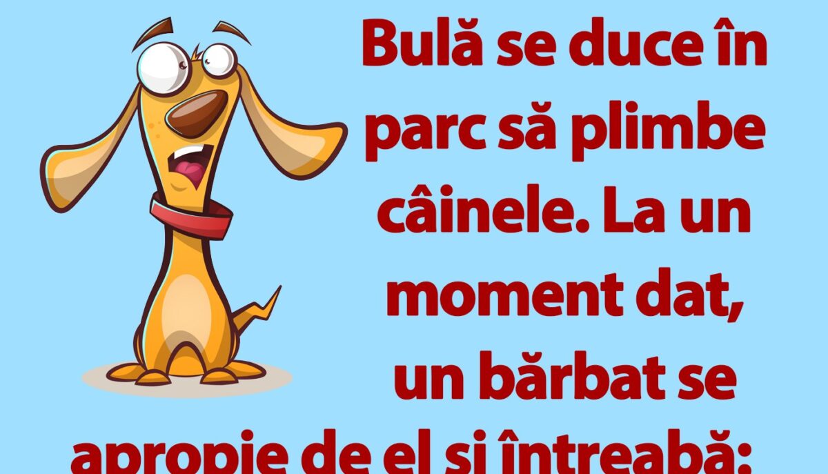 Imagine Stire BANC | Bulă se duce în parc să plimbe câinele | 2review.ro