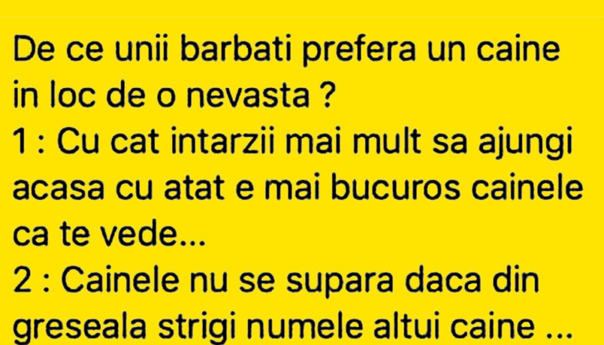 Imagine Stire BANC | De ce unii bărbați preferă un câine în loc de nevastă | 2review.ro