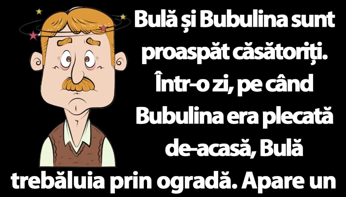 Imagine Stire BANC | Bulă și Bubulina sunt proaspăt căsătoriţi | 2review.ro