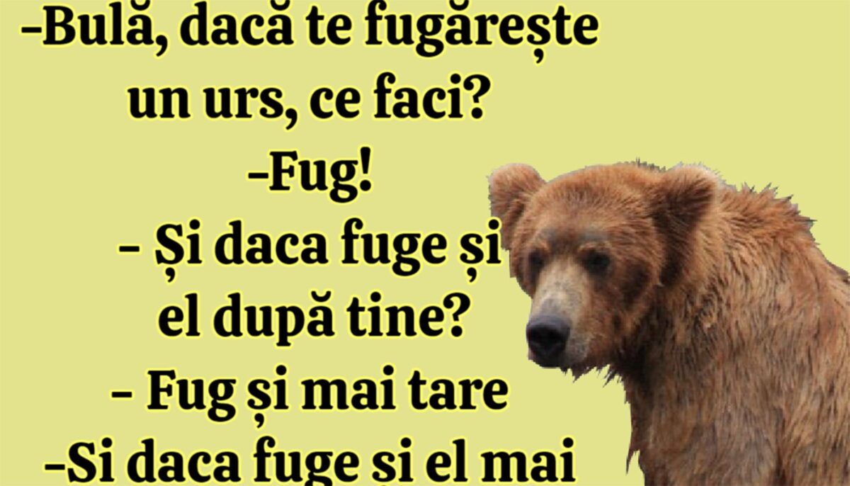 Imagine Stire BANC | „Bulă, dacă te fugărește un urs, ce faci?” | 2review.ro