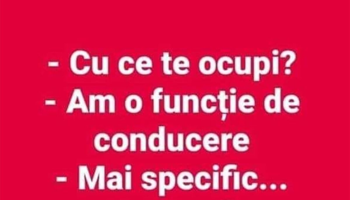 Imagine Stire BANCUL ZILEI | Funcție de conducere | 2review.ro