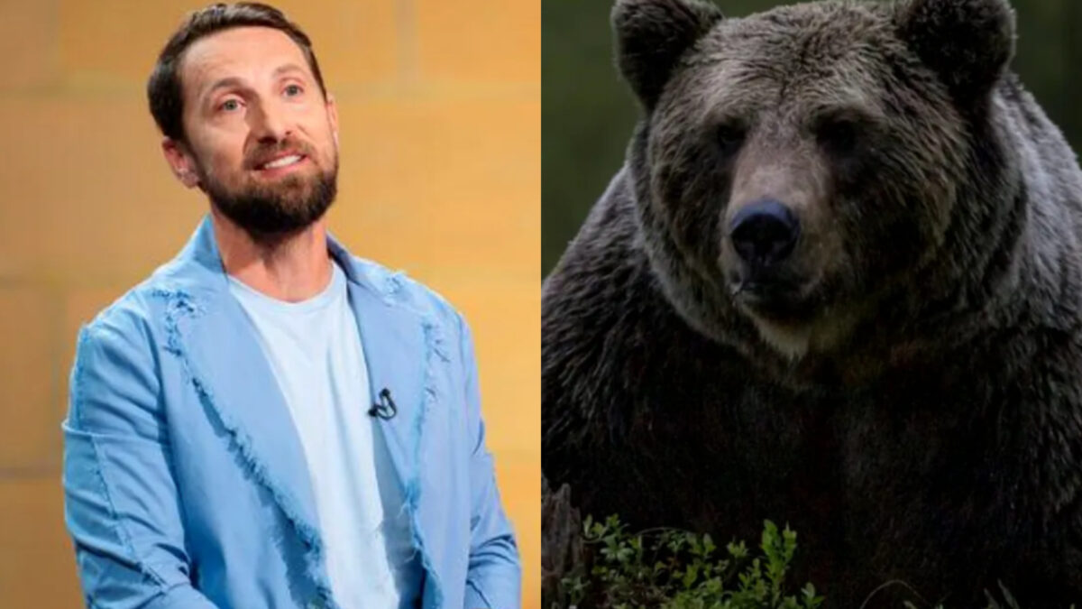 Imagine Stire Dani Oțil, întâlnire șocantă cu o ursoaică și puiul ei. Ce i-a făcut prezentatorului: „Lovește cu umărul” | 2review.ro