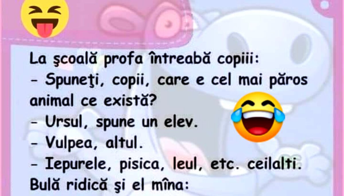 Imagine Stire BANC | Bulă și „doamna de muzică” | 2review.ro