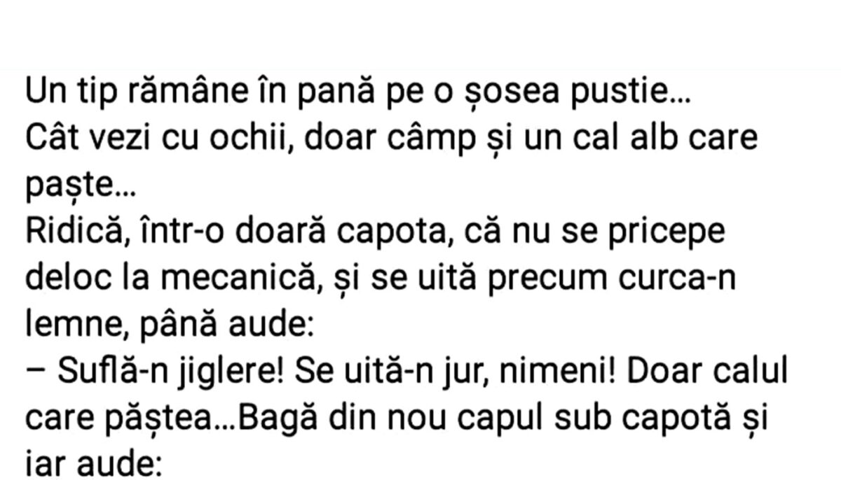Imagine Stire Bancul sfârșitului de săptămână | Tipul rămas în pană și calul vorbitor | 2review.ro
