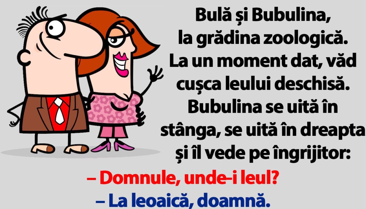 Imagine Stire BANC | Bulă și Bubulina, la grădina zoologică | 2review.ro