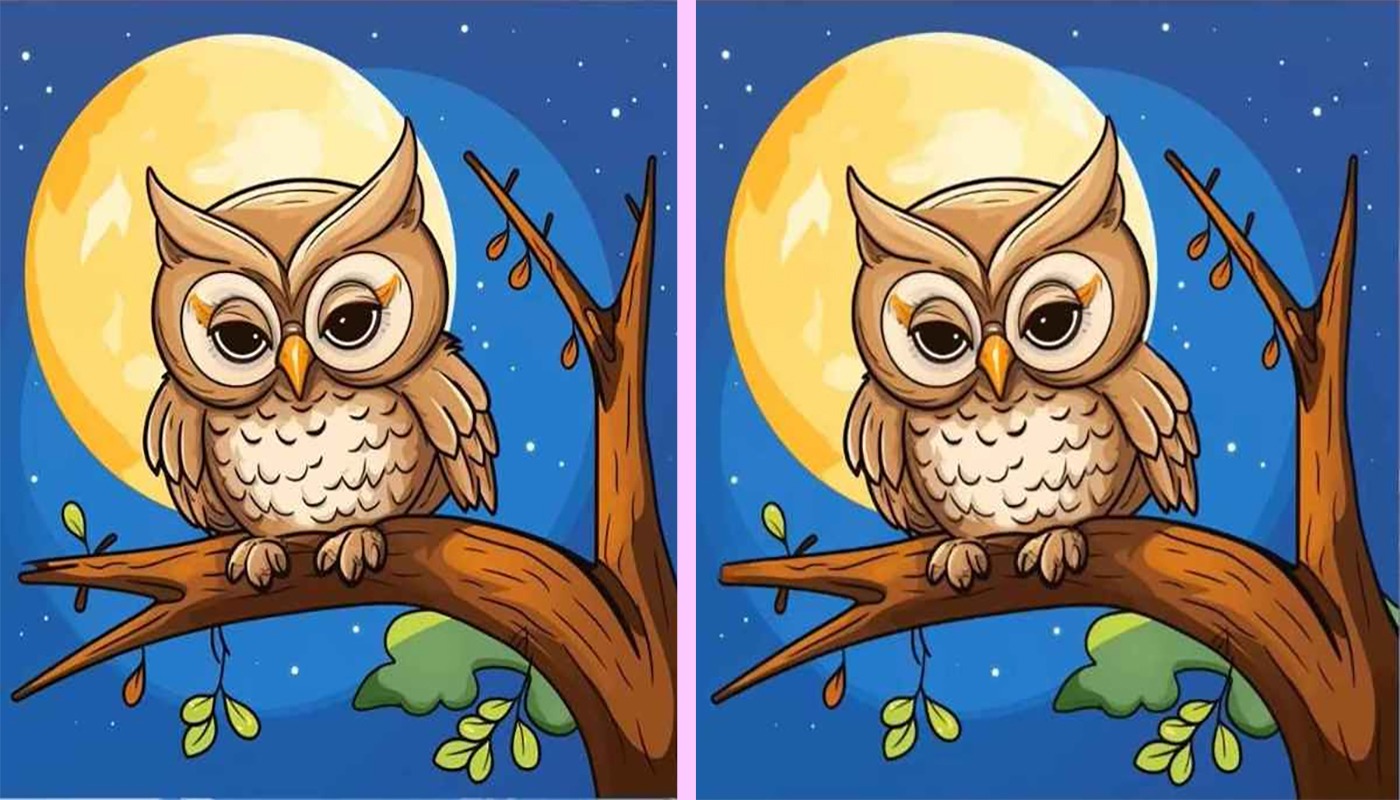 Test de perspicacitate | Aceste două poze par identice, dar nu sunt. Câte diferențe poți găsi?