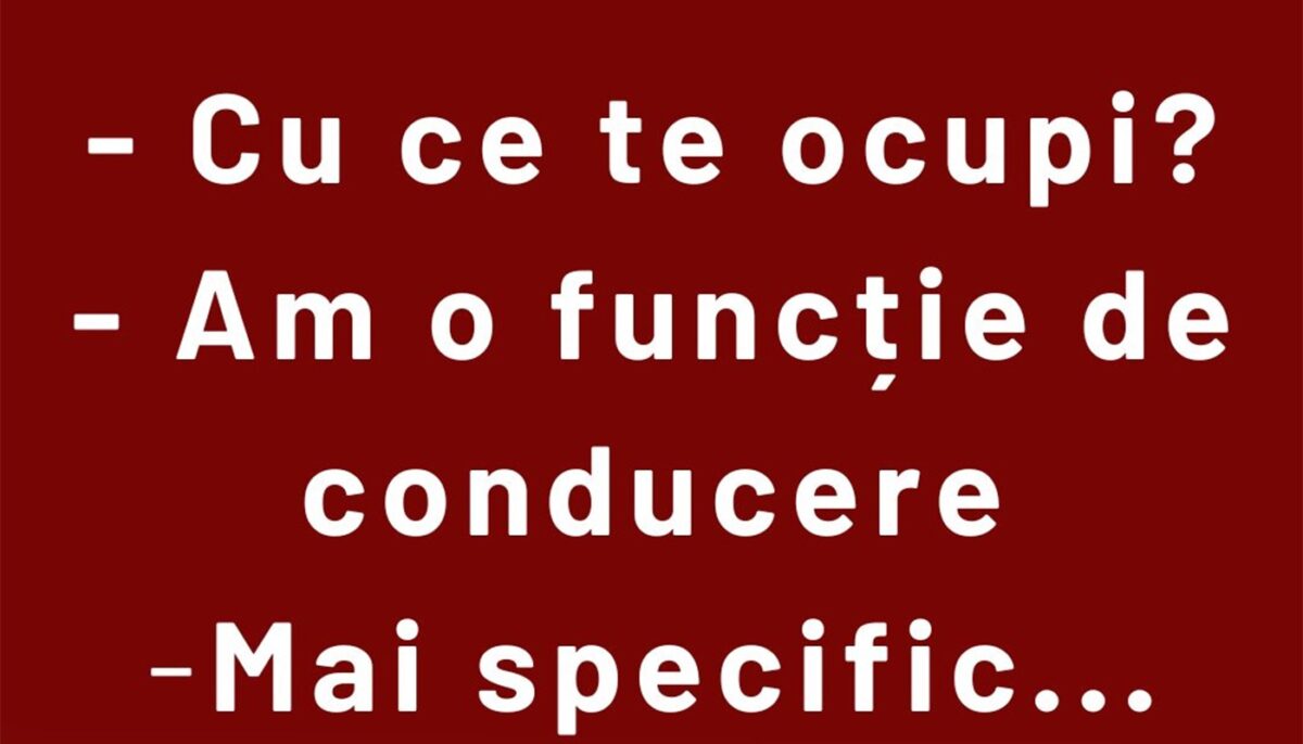 Imagine Stire Bancul sfârșitului de săptămână | Funcție de conducere | 2review.ro