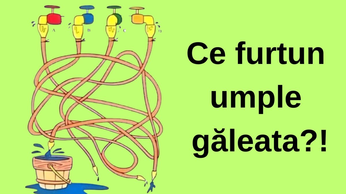 Imagine Stire Test IQ | Ghicești ce furtun umple găleata din imagine, în doar 5 secunde? | 2review.ro
