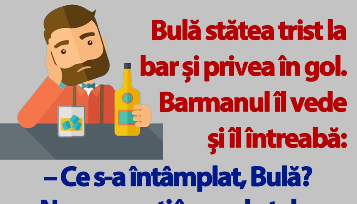 Imagine Stire BANC | Bulă stătea trist la bar și privea în gol | 2review.ro