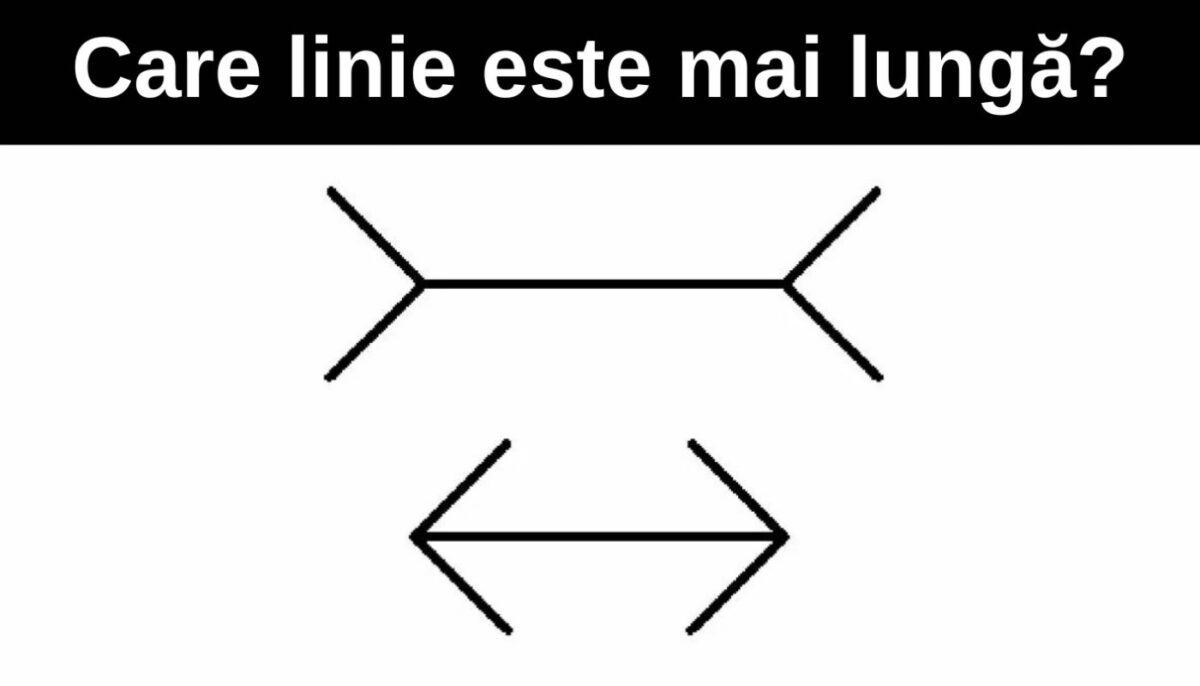 Imagine Stire Test IQ | Care linie este mai lungă? Doar 1% din oameni răspund corect în 6 secunde | 2review.ro