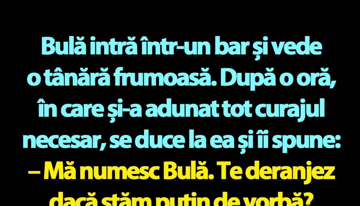 Imagine Stire BANC | Bulă intră într-un bar și vede o tânără frumoasă | 2review.ro