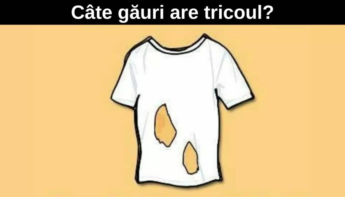 Imagine Stire Test IQ | Câte găuri are acest tricou? Geniile le numără în 8 secunde | 2review.ro