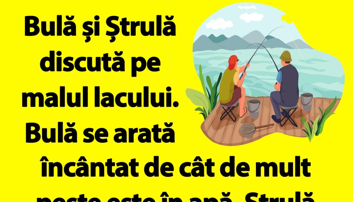 Imagine Stire BANC | Bulă și Ștrulă discută pe malul lacului | 2review.ro
