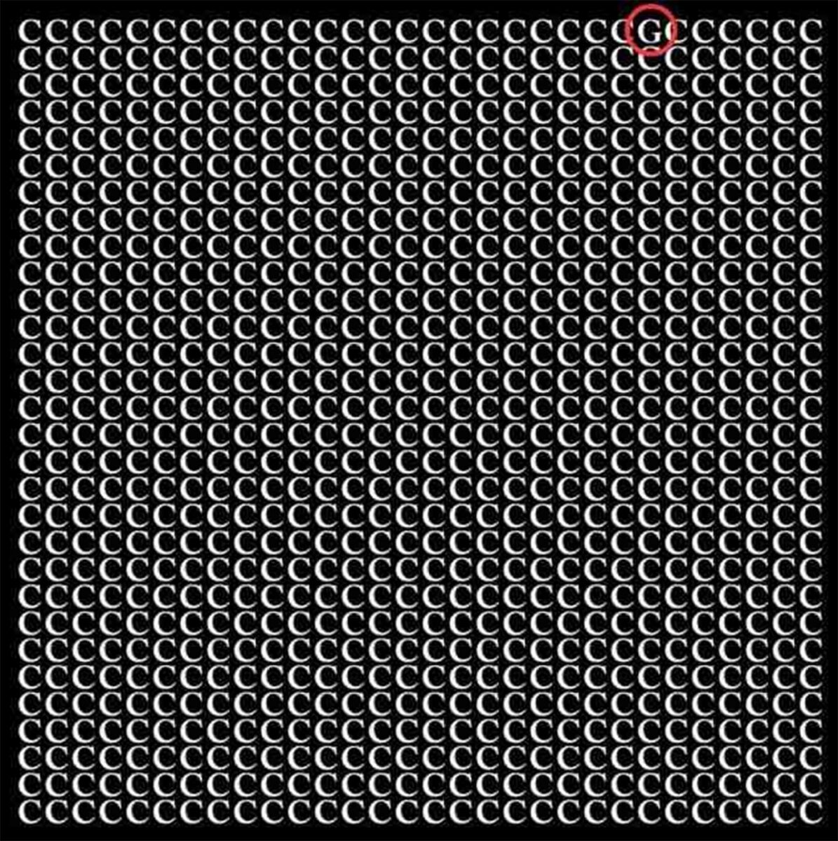 Iluzie optică rezultat. Sursă foto: 