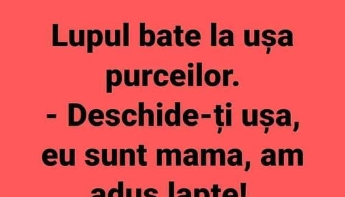 Imagine Stire Bancul de weekend | Lupul și cei 3 purceluși – versiunea 2024 | 2review.ro