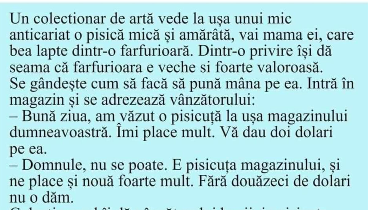 Imagine Stire BANC | Colecționarul de artă, pisica și farfurioara veche | 2review.ro