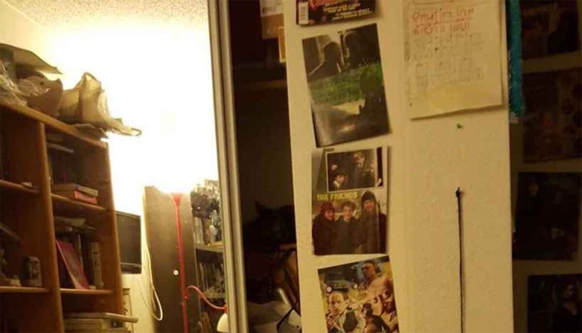 Imagine Stire Iluzie optică virală | Găsiți pisica ascunsă în această poză! Geniile o văd în maximum 6 secunde | 2review.ro