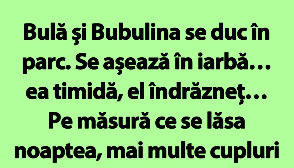 Imagine Stire BANC | Bulă și Bubulina se duc în parc | 2review.ro