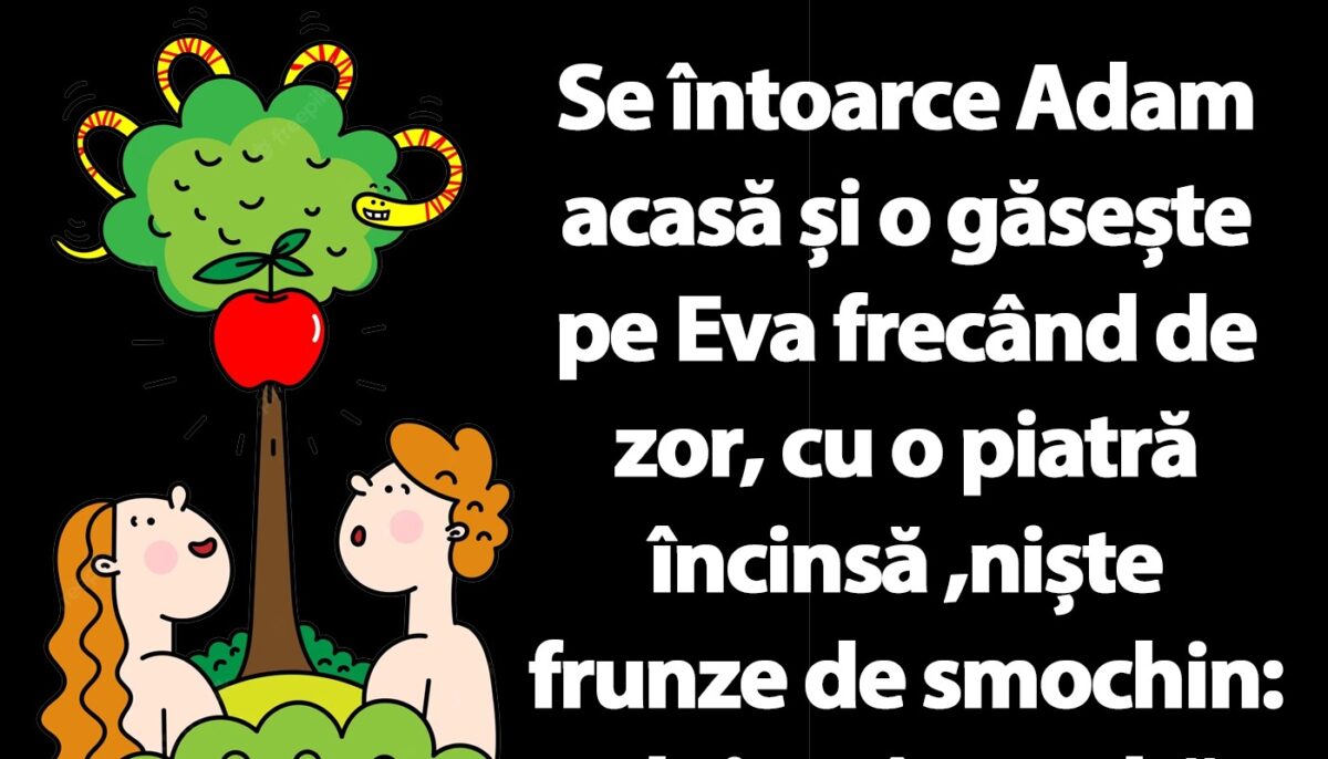 Imagine Stire BANCUL ZILEI | Adam, Evam și frunzele de smochin | 2review.ro