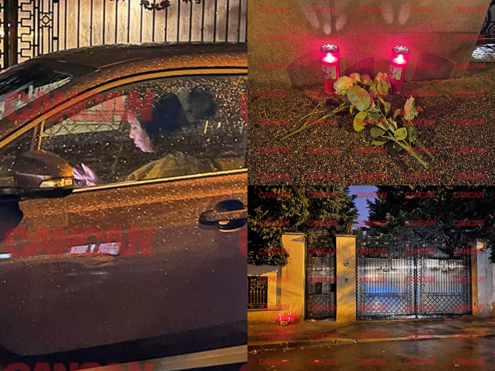 Ce a apărut în fața casei lui Silviu Prigoană. Adriana Bahmuțeanu a ajuns de urgență la vila fostului ei soț Ce a apărut în fața casei lui Silviu Prigoană. Adriana Bahmuțeanu a ajuns de urgență la vila fostului ei soț