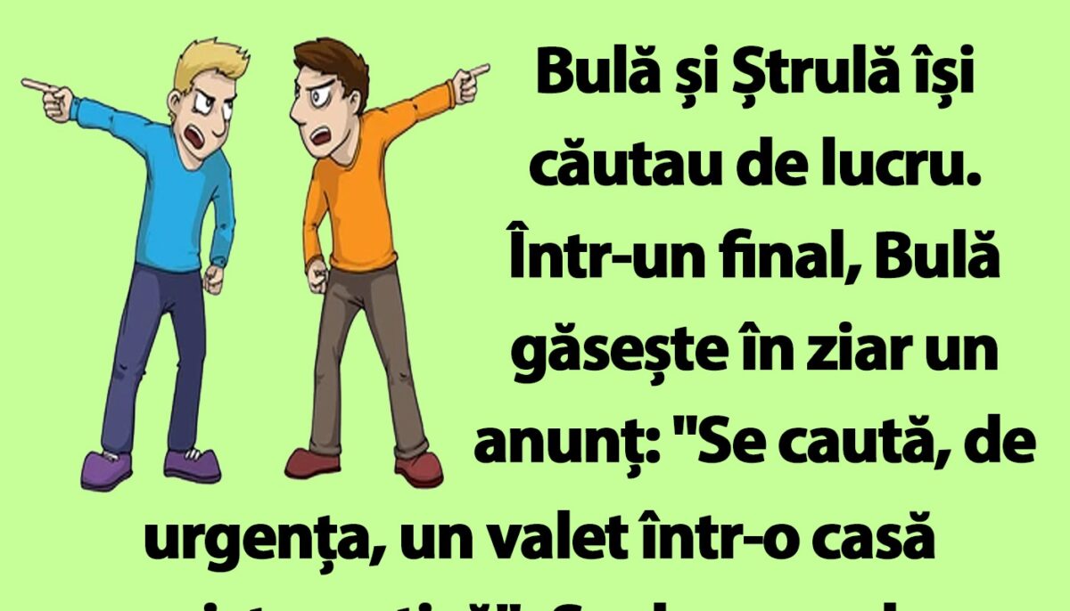 Imagine Stire BANC | Bulă și Ștrulă își căutau de lucru | 2review.ro