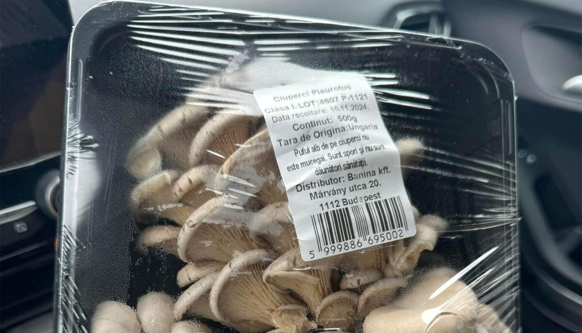 „Cum să plângi în Kaufland”. Ce a pățit o celebră prezentatoare TV din România, în supermarket