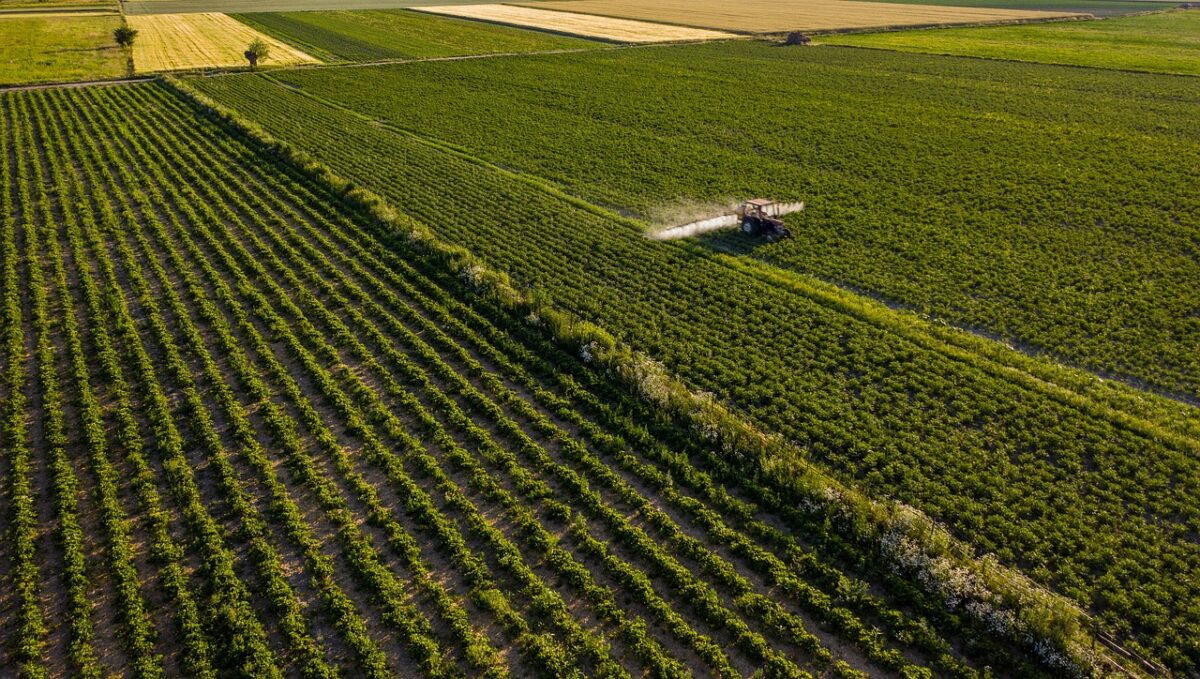 Preț colosal pentru 1 hectar de teren agricol în jurul Bucureștiului. Valoarea a crescut cu 25-40%