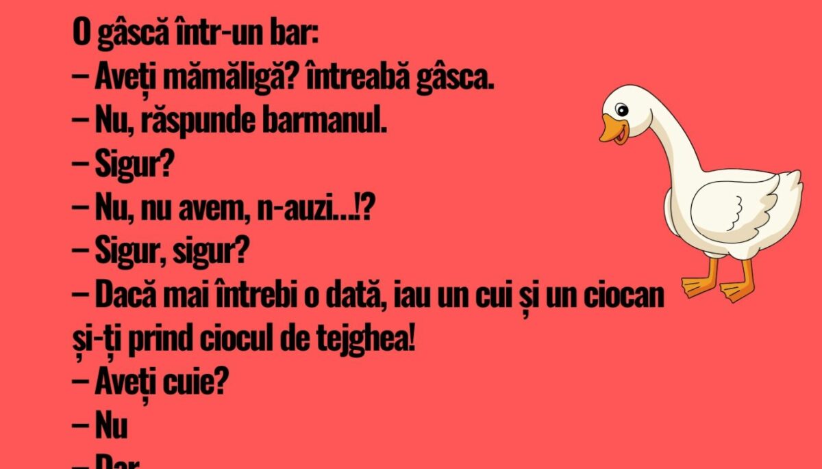Imagine Stire Bancul începutului de săptămână | O gâscă într-un bar: „Aveți mămăligă” | 2review.ro