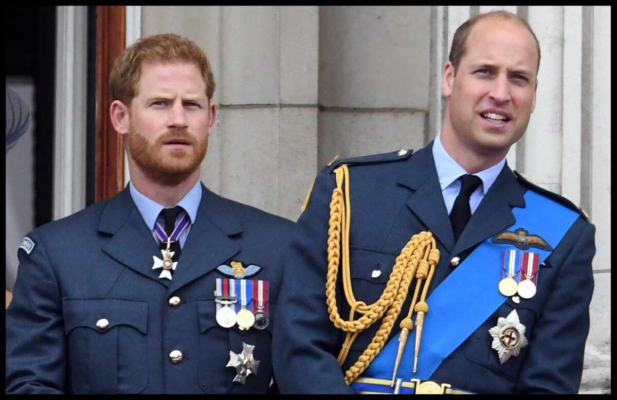 Adevăratul motiv pentru care Prințul Harry și Prințul William nu vor moșteni casa în care a crescut Prințesa Diana