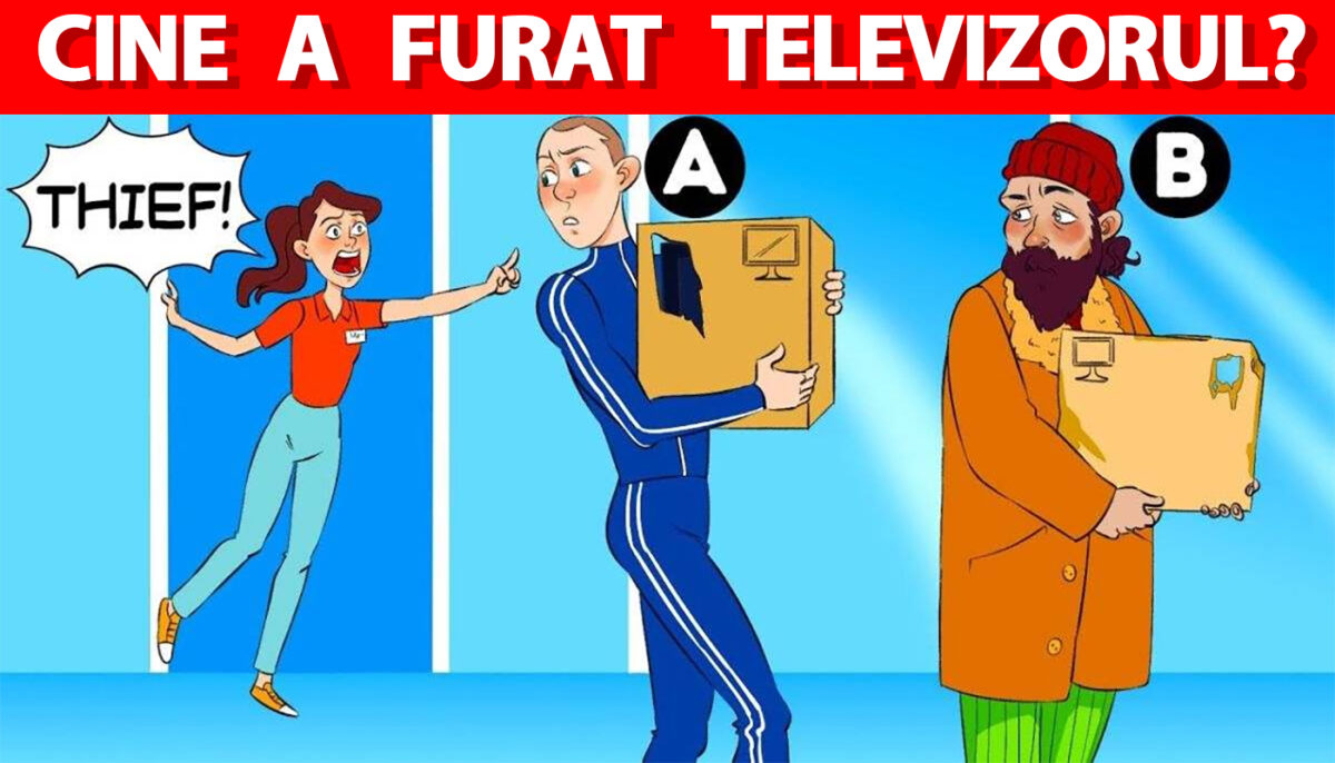 Test IQ pentru genii | Care dintre acești doi bărbați a furat televizorul din apartamentul femeii din imagine?