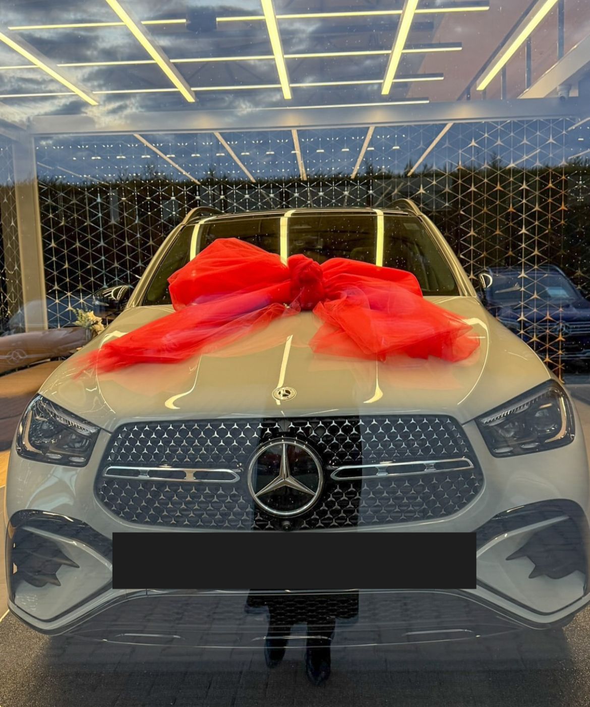 Carmen de la Sălciua