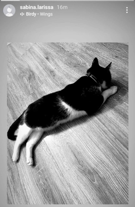 Sabrina și Andrei Perneș