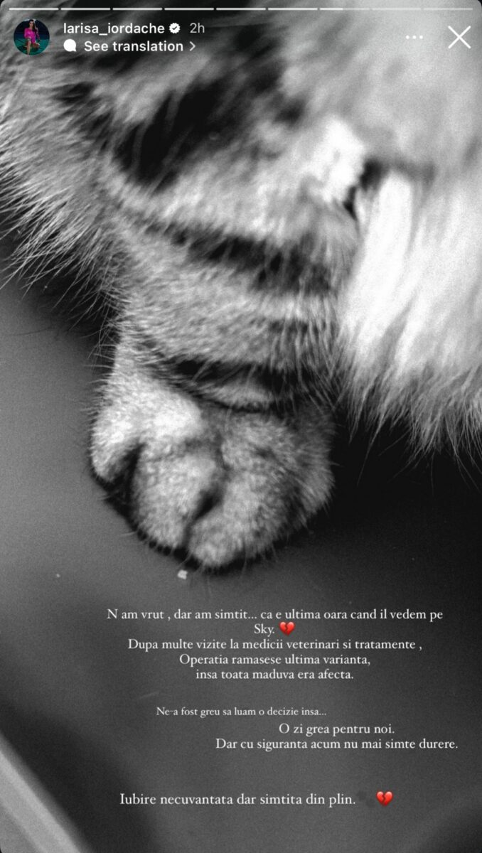 Postarea făcută de Larisa Iordache.