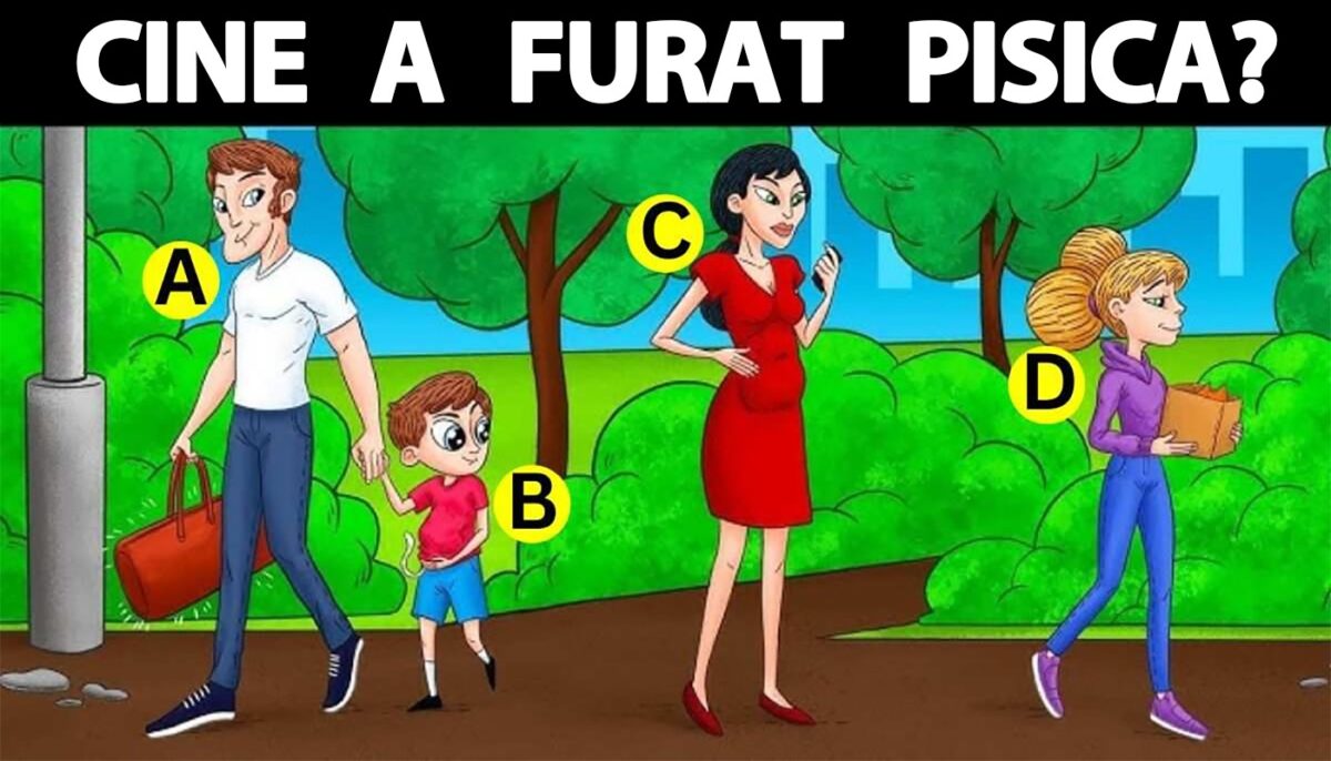 Imagine Stire Test IQ exclusiv pentru genii | Care dintre acești 4 oameni a furat pisica? | 2review.ro
