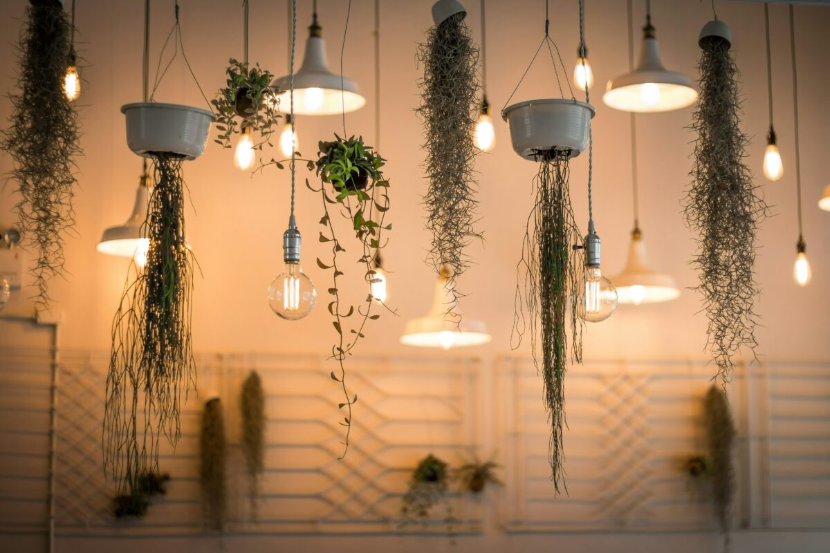 (P) Iluminatul potrivit pentru o casă elegantă și funcțională